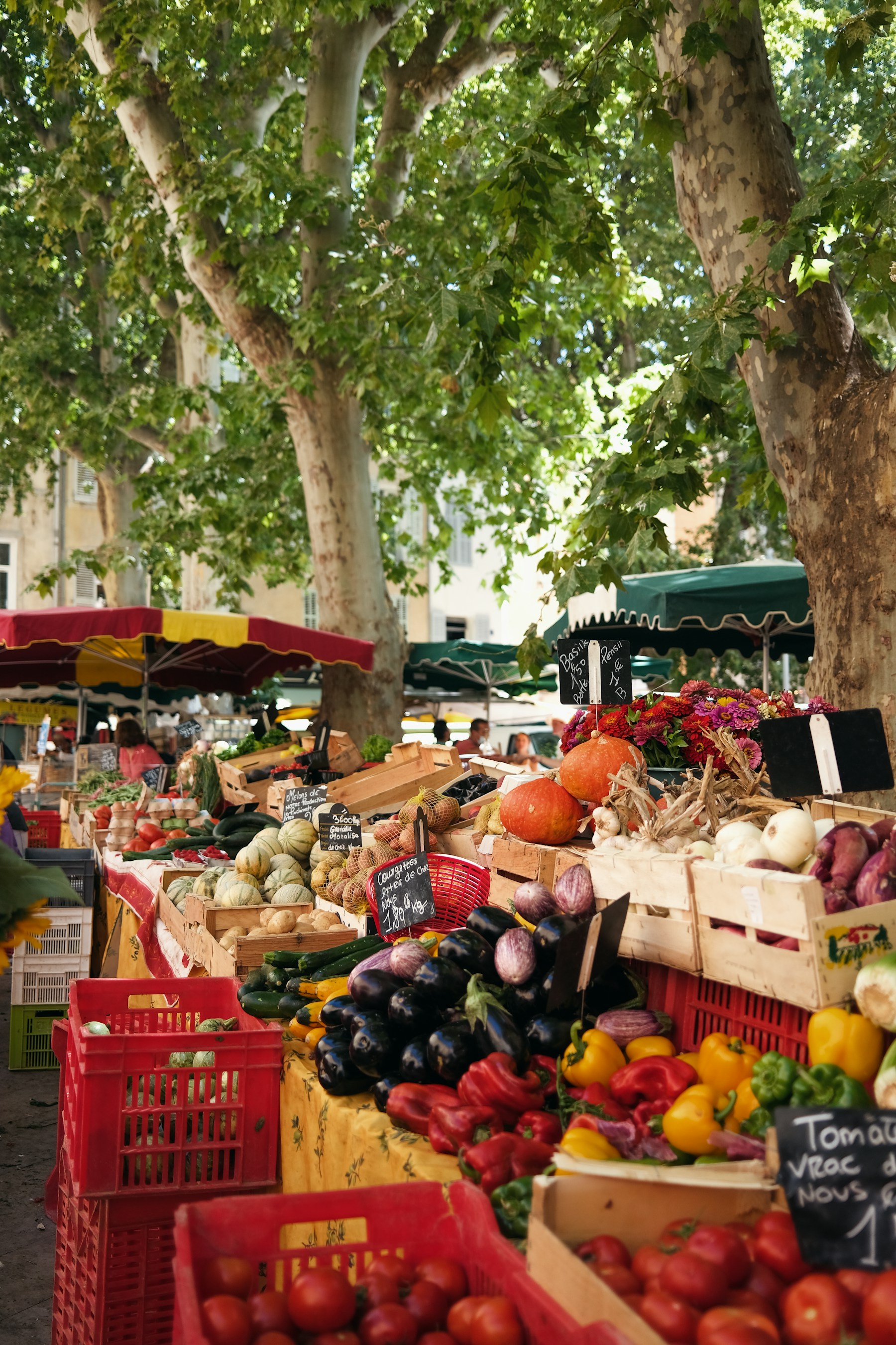 Un marché provençal à l’ombre des platanes