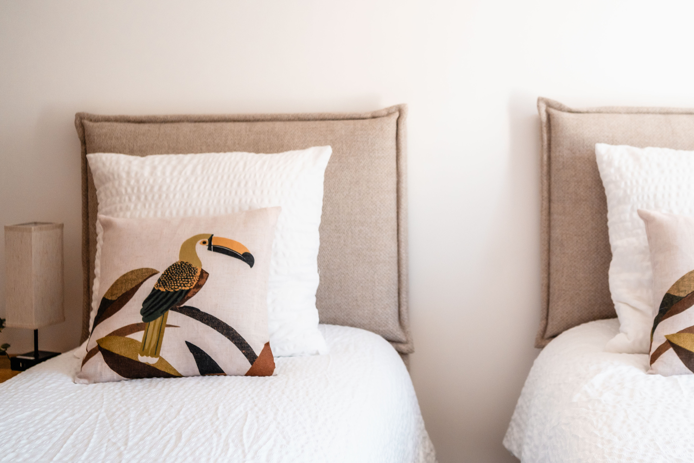 Vue large de la chambre toucan